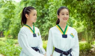 旋风十一人结局