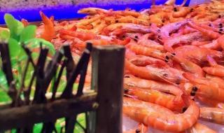 深圳东门的京都火锅城自助餐价格是多少 深圳自助餐团购