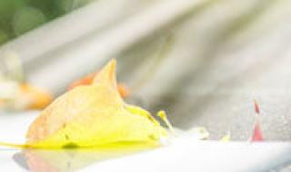 怪盗基德被小孩认出来是第几集 怪盗基德预告函头像