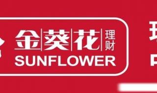 招商银行金葵花理财 招商银行金葵花理财