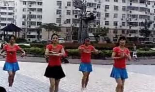 奢香夫人是什么意思 动动广场舞奢香夫人