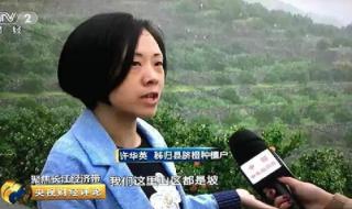 央视二套是真的吗 中央电视台二台