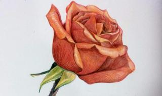 油画入门教程有哪些 手绘入门基础教程