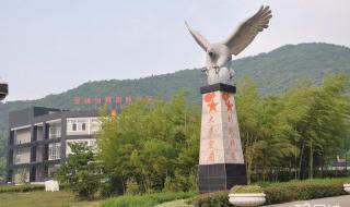 无锡国际中学 无锡国际中学