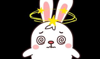 秘密BY吃肉的长耳兔 秘密BY吃肉的长耳兔