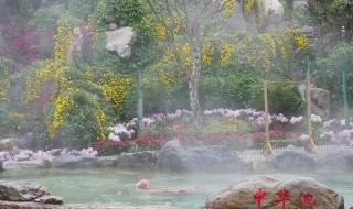 小汤山疗养院 小汤山疗养院